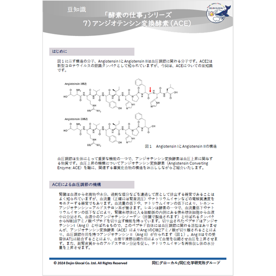 【豆知識】アンジオテンシン変換酵素＜酵素の仕事シリーズ＞1.PNG