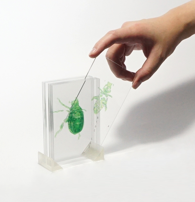 3D画像 透明立体模型製作 ExhiBits プレゼンや発表に