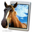 Authentic 3D POP Display '3D Picture'