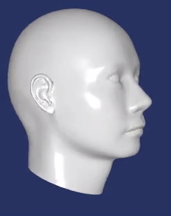 FaceGen