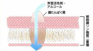 イオン水『GE-100』