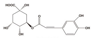 機能性素材『グリーンコーヒー豆エキス末』