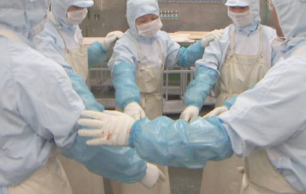 食品生産機械の清掃サービス