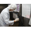 Kitchen sanitation checks, food hygiene guidance, training sessions.