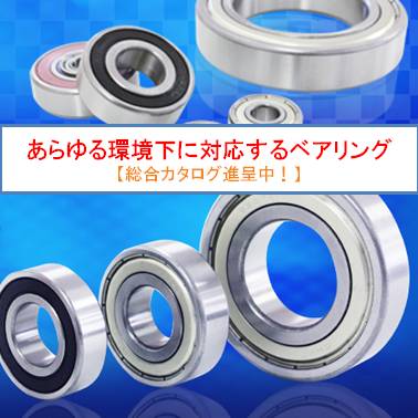 特殊環境ベアリング 総合カタログ【セラミック、樹脂、ステンレス】