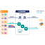 Outsourcing purchasing operations from order placement to just-in-time supply.
