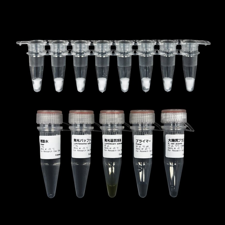 ヒトパピローマウイルス発光検出試薬