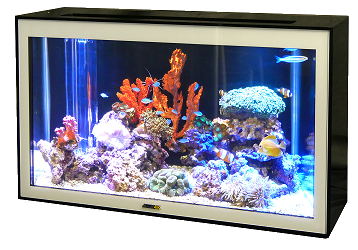 バーチャル水槽『魚八景4K』 ルキナ | イプロスものづくり