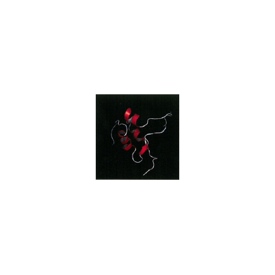 IGF-2.PNG