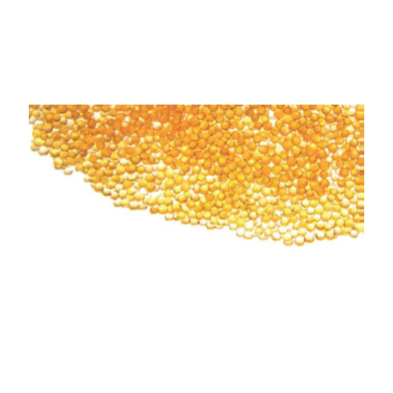 image_01.png