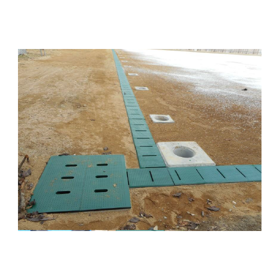 image_08.png