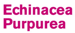 原料『エキナセア　プルプレア』