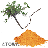 健康食品原料『MISKAMISKA（ミスカミスカ）』