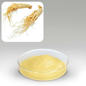 Ginseng Extract.jpg