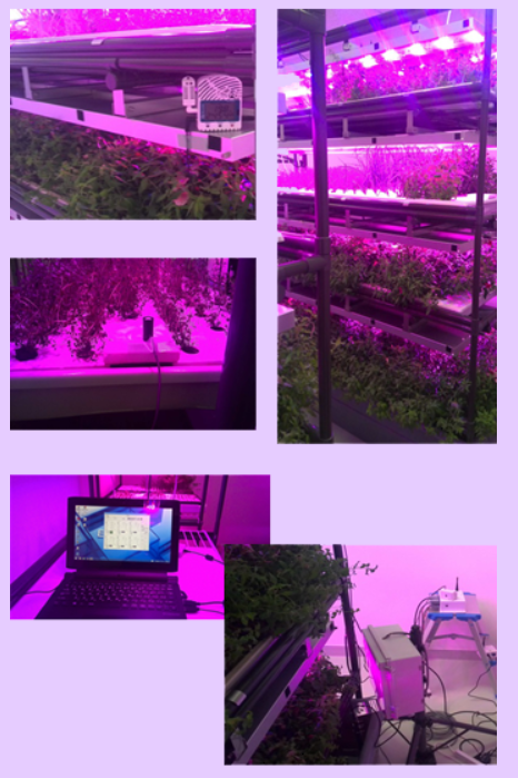 植物工場向けセンサモニタリングシステム