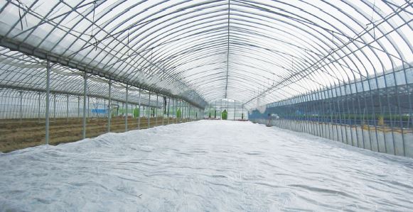 土壌消毒専用フィルム『バリアースターV』