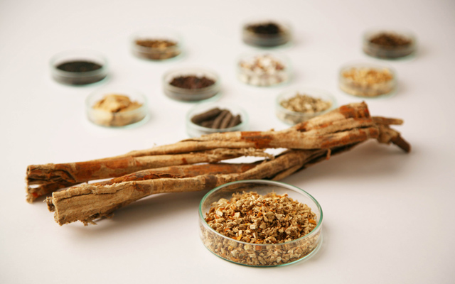 育毛剤原料『桑白皮エキス／桑白皮エキスC』