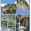 Agricultural materials: Recommended related materials for point irrigation.