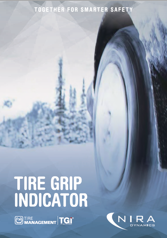 路面ミュー推定ソフトウェア、TGI