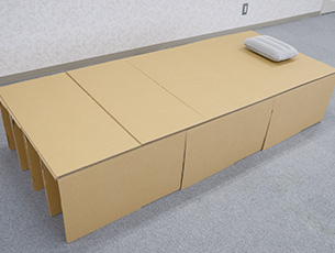 組立式簡易ベンチ・ベッド『DANゴロン』