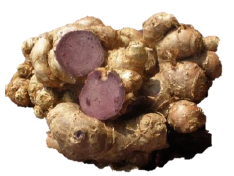 ブラックジンジャー（脂肪の減少）