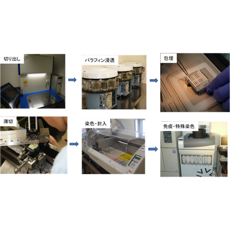 sample_02-710x383.png