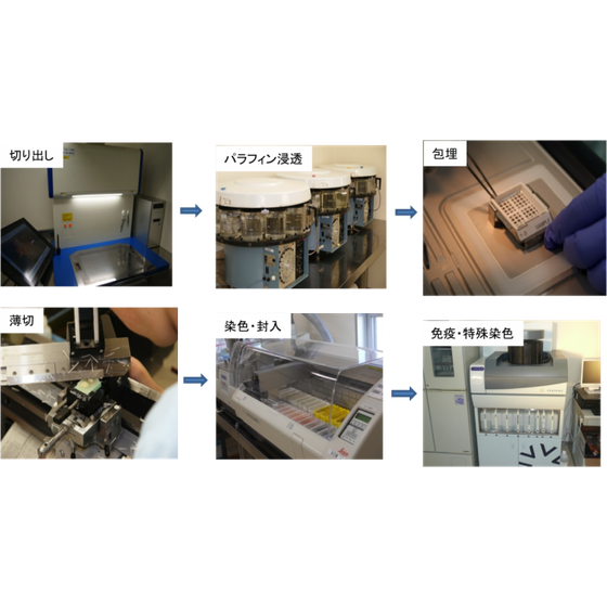 sample_02-710x383.png