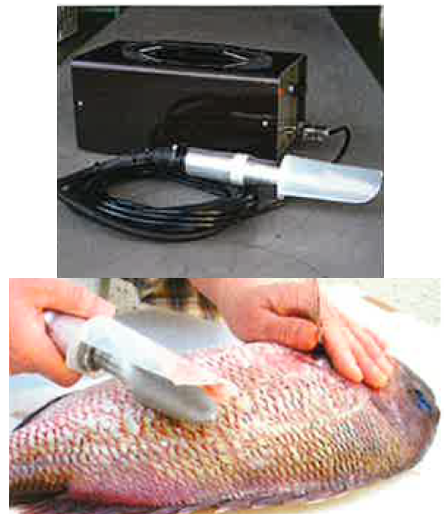 うろこ取り名人