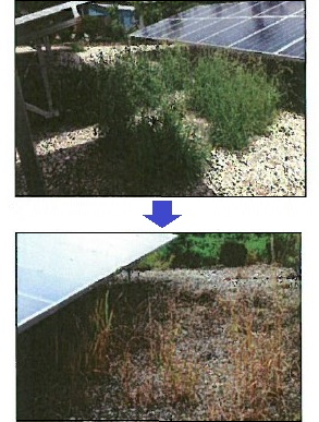 『太陽光パネル洗浄&除草作業』【太陽光発電所の環境管理をご提案】