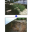 "Solar Panel Cleaning & Weeding Work" [Proposing Environmental Management for Solar Power Plants]
