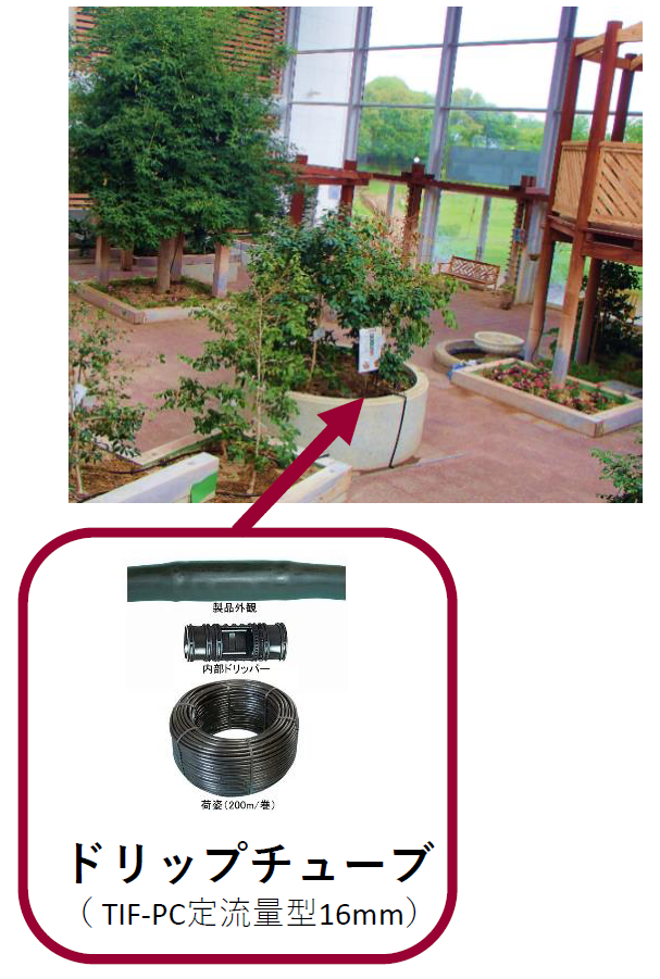 【事例】ドリップかん水施工