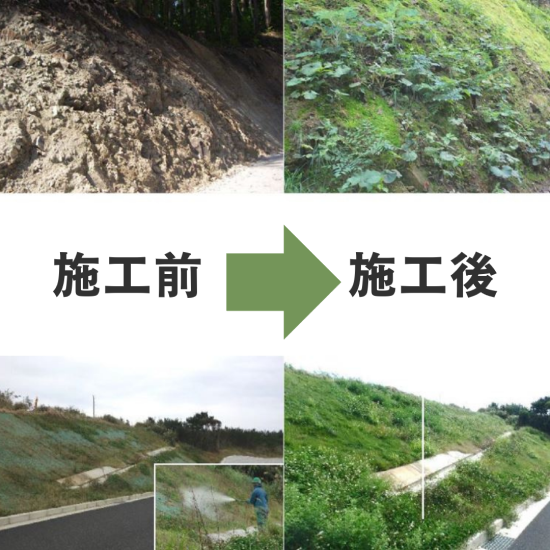 【環境大臣賞受賞】土壌藻類を利用し土地表面の侵食防止 BSC工法