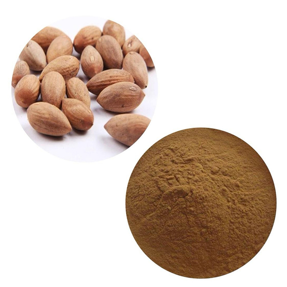 Torreya Nut Extract.jpg