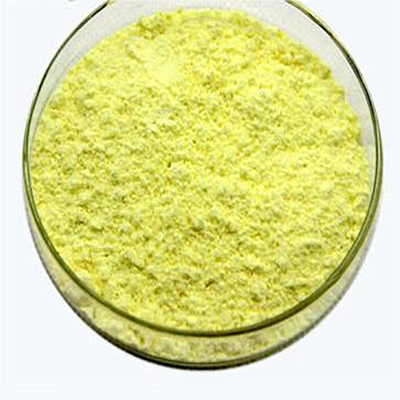 Carnosic Acid.jpg