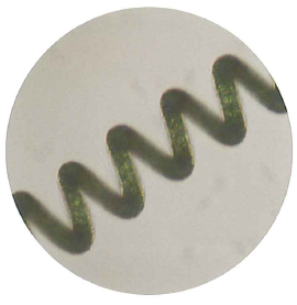 機能性食品『スピルリナ』