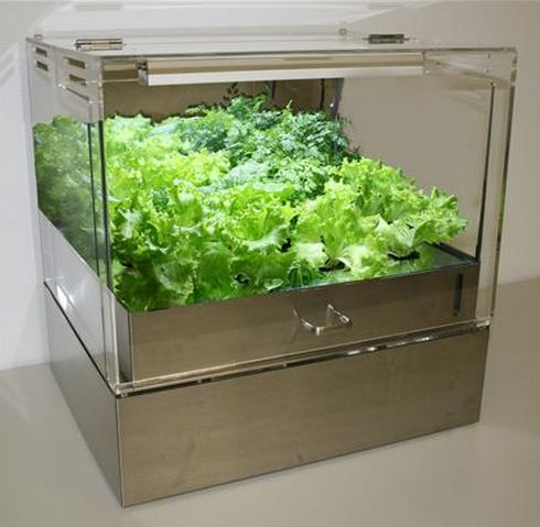 ミニ植物工場『SALA（サラ）』