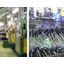 Sanei Rubber Industry Co., Ltd. Business Activities