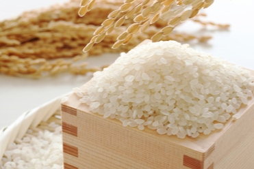 産地ブランド精米卸・流通サービス