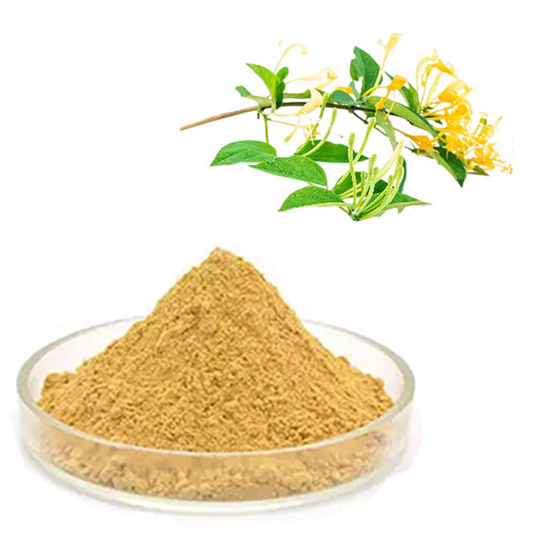 Honeysuckle Extract.jpg