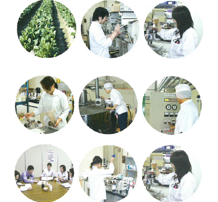 東海物産株式会社　事業紹介