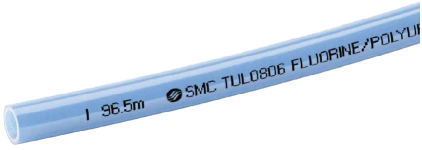 ドウダンツツジ/ボリューム株【現品発送】管理70859 400mm出湯管