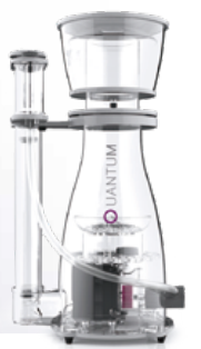 プロテインスキマー/餌・添加剤