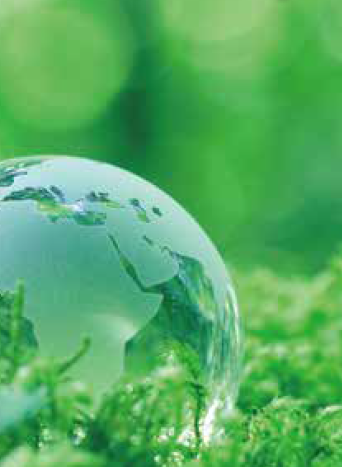 バイオマスの液状コンパウンド