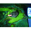 磁粉探傷試験（ＭＴ）・超音波探傷試験　【課題解決】