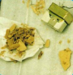 【スケール対策 事例】菱善西新宿店（弁当デリバリー・東京都）