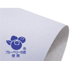 エコロジーペーパー『スマートパピエ』