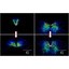 [Technical Column] Fluid Analysis of Butterfly Flapping Motion