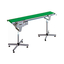 Frame detachable overhang belt conveyor flick touch