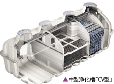 【水泥新聞 第78号】地下水が浄化槽に与える影響とその対策