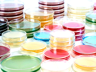 南越ケミカルの微生物用培地